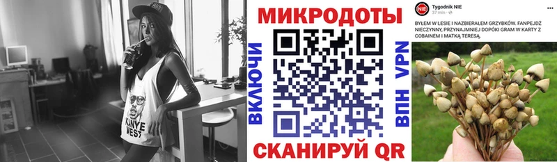 Купить где  Киржач  Галлюциногенные грибы мухоморы 